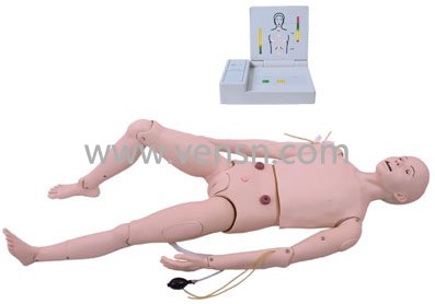 VS-3000高级成人护理及CPR模型人