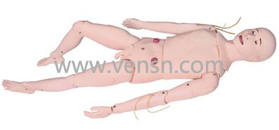 VS-2600(国赛指定产品)高级成人鼻腔吸痰及护理模型