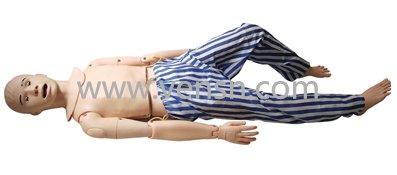 VS-2800(高职院校教师大赛指定产品)鼻胃管护理模拟人