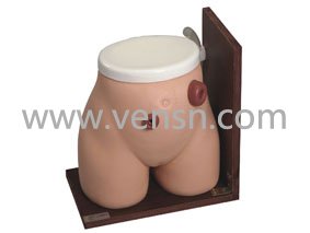 VS-38高级瘘管造口术后护理模型
