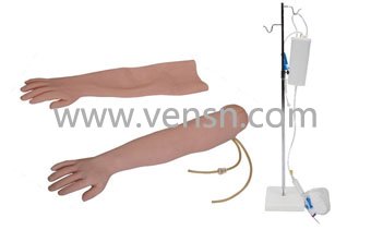 VS-S2高级手臂静脉穿刺及肌肉注射训练模型(可换外皮)