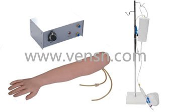 VS-S2A高级手臂静脉穿刺及肌肉注射训练模型(带循环装置)