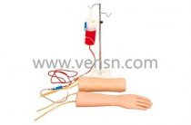 手部、肘部组合式静脉输液(血)训练模型