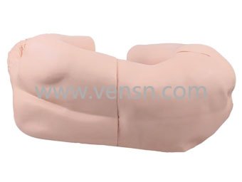 VS-CK811腰椎穿刺训练模型