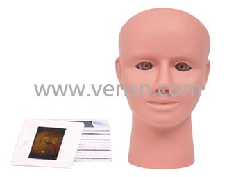 VS-LV14高级眼内视网膜病变检查模型