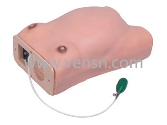 VS-W高级电脑孕妇检查模型