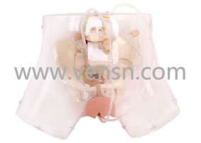 VS-T32高级透明刮宫模型